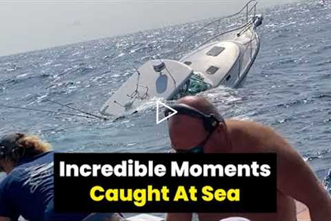 Amazing Moments Caught Out at Sea