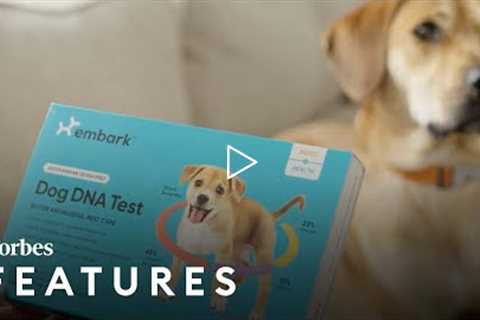 This Next Billion Dollar DNA Company Will Test Your Dog For A Healthier Life | Forbes