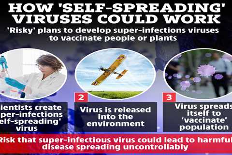 Scientists creating ‘self-spreading’ viruses that could have ‘irreversible consequences’ for the..