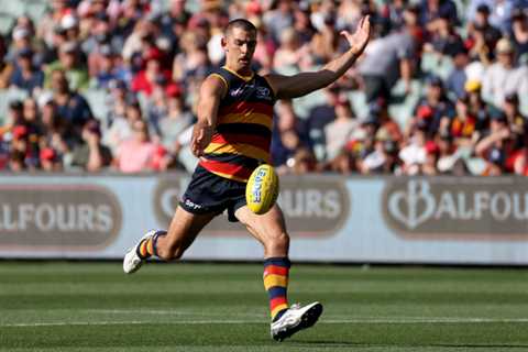 AFL top 100: Nicknames at Adelaide and Brisbane