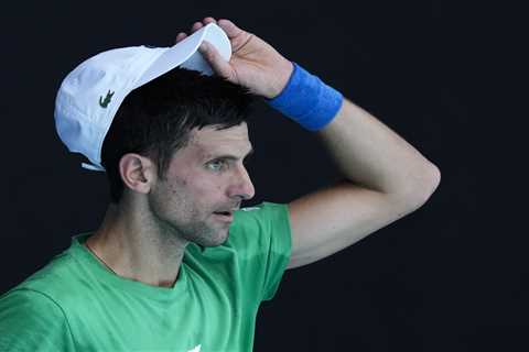 Djokovic saga 'starting to affect the players'