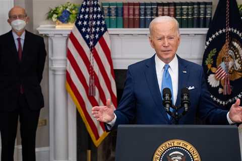 As Breyer Pondered Retirement, Biden Bet on a Hands-Off Strategy