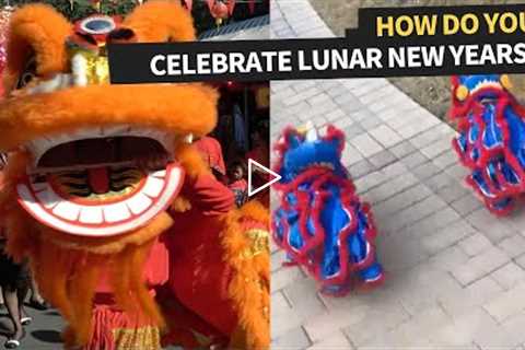 Chinese New Year 2022 Lion Dance