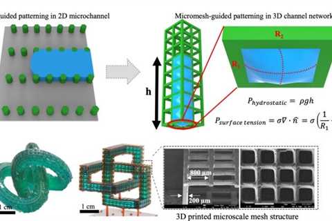 3D micromesh-based hybrid printing for microtissue engineering