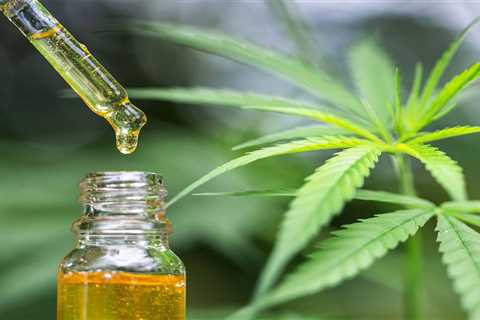 Choosing the Ideal CBD Product for Your Specific Needs