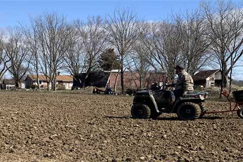 How to Plant a Dove Field Quick and Easy This Spring