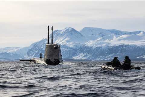 Russia has ‘significantly increased’ its military presence in the Arctic Circle since Vladimir..