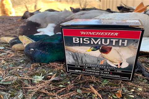 Shotshell Review: Winchester Bismuth Waterfowl Loads