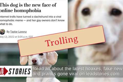 Fact Check: Washington Post Did NOT Publish Article About Dog That’s New Face Of Online Homophobia