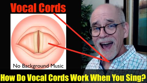 How Do Vocal Cords Work When You Sing? (No Music)
