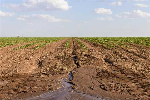 West Texas farmers and ranchers fear the worst as drought, heat near 2011 records