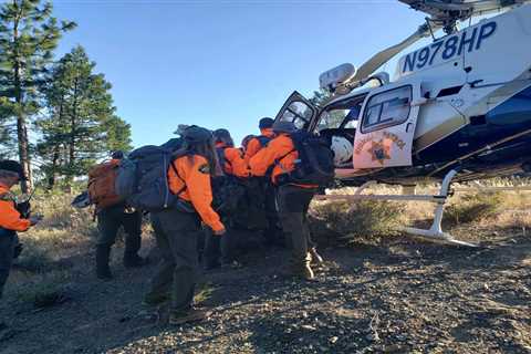 Real-Life “Lassie” Leads Rescuers to Owner Who Fell 70 Feet in Tahoe National Forest