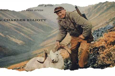 A Classic Dall Sheep Hunt in the Yukon, From the Archives