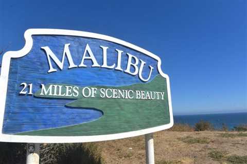 Calendar of events for the week of July 28 to August 4 • The Malibu Times