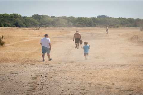 Hosepipe bans could last until OCTOBER amid new 29C heatwave