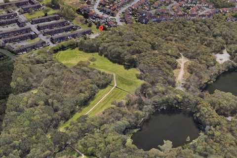 Body found in search for teen girl after swimmer got into difficulty at Stalybridge in 4th heatwave ..