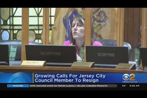 More calls for Jersey City councilmember Amy DeGise to resign