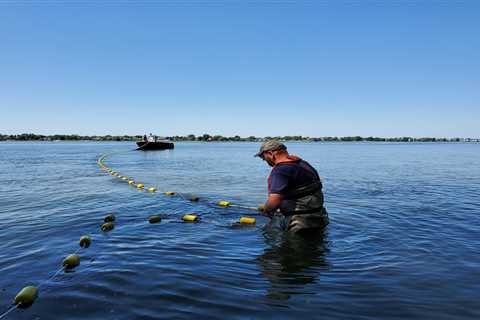 Toxins of increasing issue discovered in sun block and plastics wind up in the St. Lawrence River