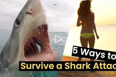 5 Ways to Survive a Shark Attack