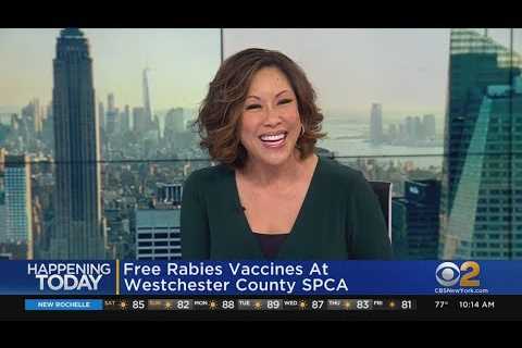 Free rabies shots for pets at Westchester SPCA