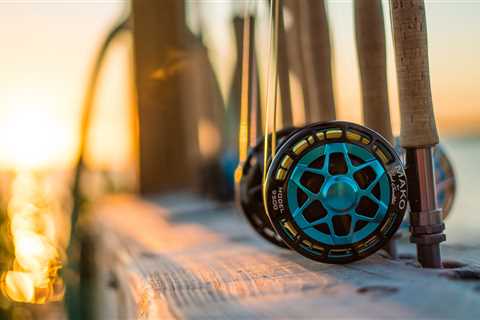 Best Fly Reels for Trout, Saltwater, Big Game, and More