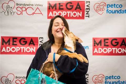 Houston mega pet adoption event: 14 shelters, rescues participating