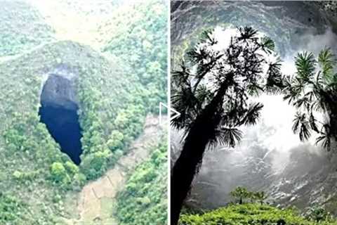 Scientists Have Just Confirmed They Discovered An Untouched Cave With A Hidden Jungle Inside