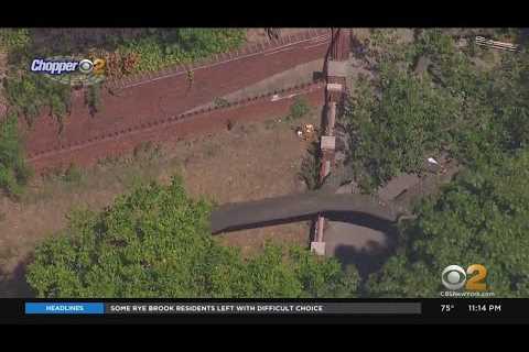 Girl hurt when tree falls across sidewalk in Kensington, Brooklyn