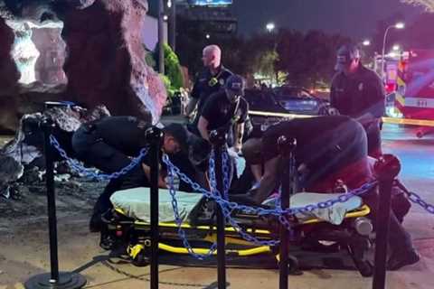 Woman injured after part of roof collapsed on her at Downtown Aquarium restaurant, HFD says