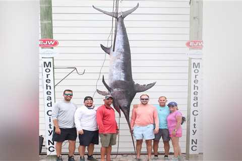 Father-Son Duo Beat North Carolina State-Record Swordfish by 63 Pounds