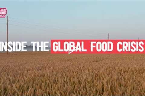 Will there be a global food shortage?