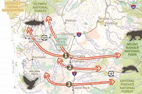 New science exhibits need for wildlife crossing structures in Southwest Washington – Conservation..