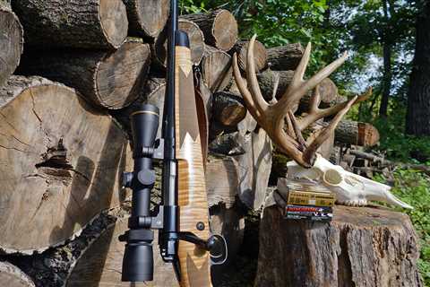 The Best Deer Hunting Rifles of 2022