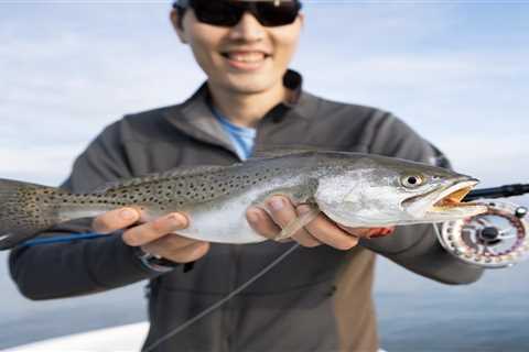 Best Polarized Sunglasses for Fishing