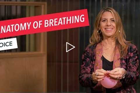 Voice Techniques: Anatomy of Breathing | Singing | Vocals | Voice | Berklee Online