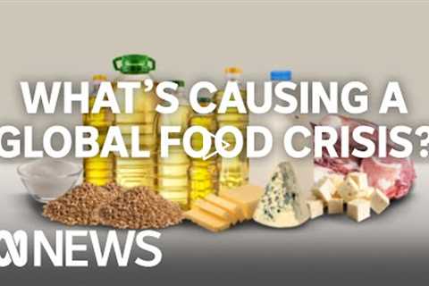 What's causing a global food crisis and is the world running out of food? | ABC News