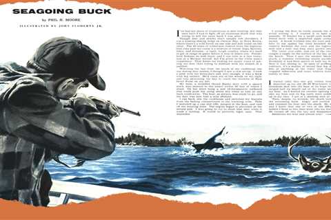 When a Shark Attacks a Deer Hunter, From the Archives