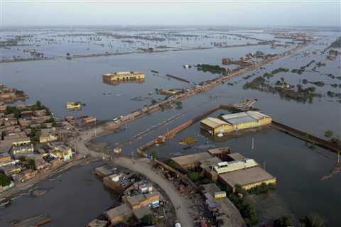 Pakistani finance minister sees gradual recovery from floods