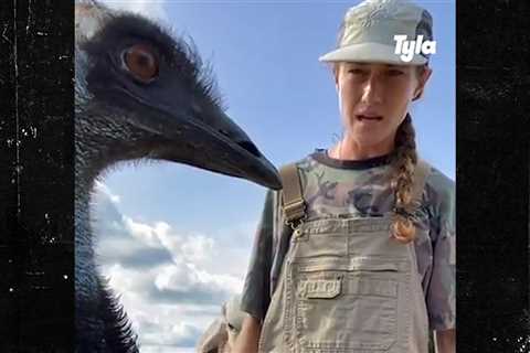 Emmanuel the Emu Sick After Wild Geese, Bird Flu Strike Florida Farm