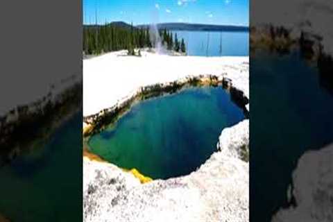 Park Rangers Accidentally Made A Chilling Discovery In Yellowstone National Park #shorts