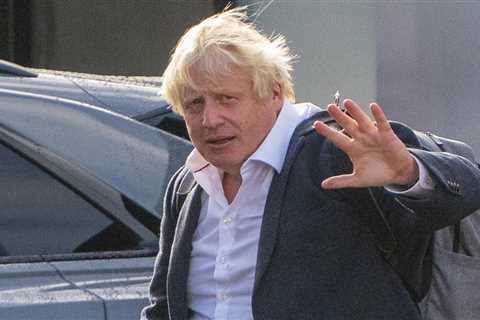 Allies of Boris Johnson are sharing polling to MPs showing only he can win the Red Wall