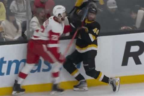Red Wings Rasmussen Coming Back;  No Such Luck For Bruins Krejci;  Brattstrom To Toledo