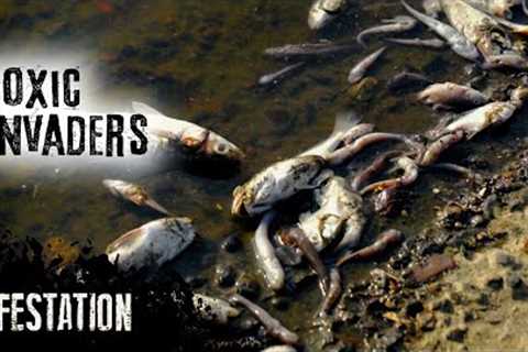 Dangerous Fishes: The sea invasion | Infestation | Episode 2