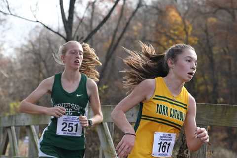 PA PIAA State High School Cross Country Championships