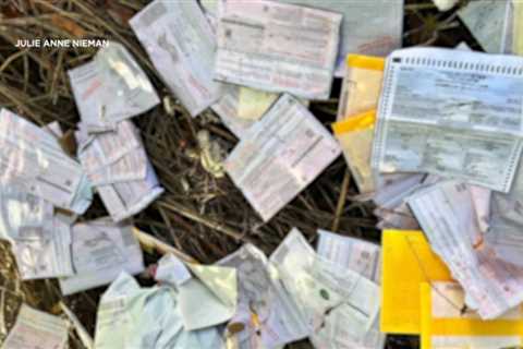 San Jose resident’s election poll discovered dumped in Santa Cruz County together with dozens of..