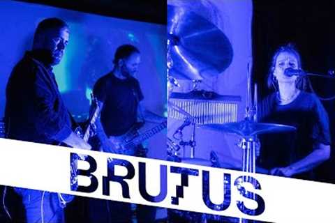 Brutus — A Forest (The Cure cover) | StuBru LIVE LIVE | Studio Brussel