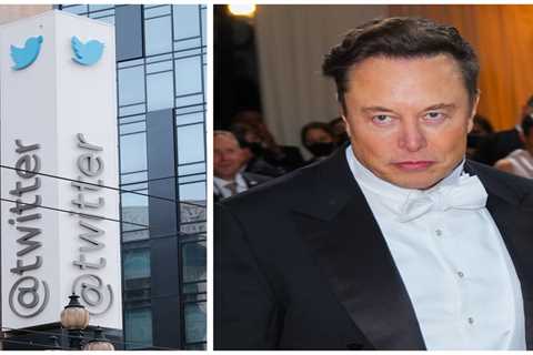 Twitter employees publicly slam Elon Musk for criticizing the app: ''Like did you even bother to..