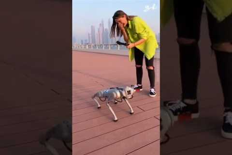 Robot walking the dog | Pro robots | #shorts