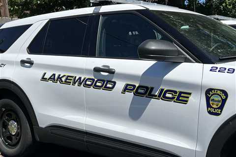 More than 40 dogs removed from ‘unlivable’ home in Lakewood