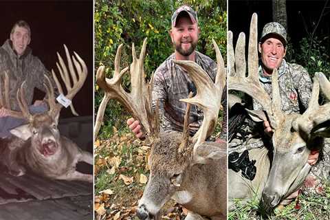 The Biggest Whitetail Bucks of 2022